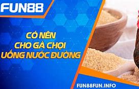 Cho Gà Uống Nước Đường