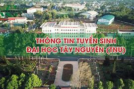 Điểm Xét Tuyển Đại Học Tây Nguyên Năm 2024